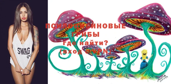 гидропоника Арсеньев