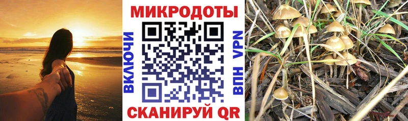 KRAKEN зеркало  Лахденпохья  Псилоцибиновые грибы Psilocybine cubensis 