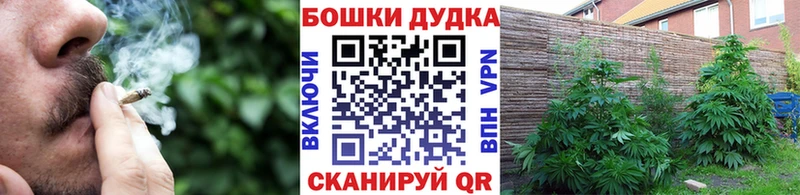 как найти наркотики  Лахденпохья  Бошки Шишки LSD WEED 